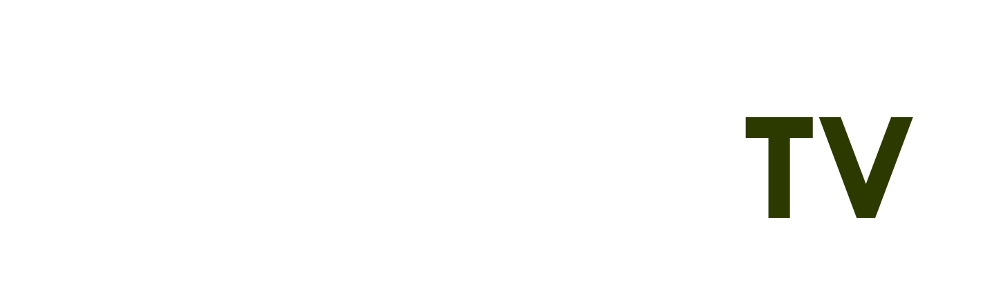 Ghế Tập Tạ - c win